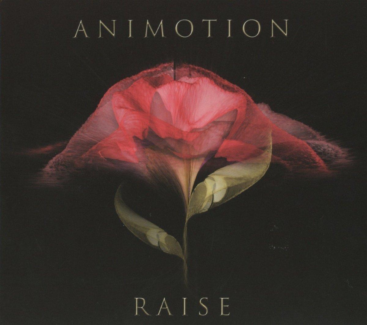 Animotion - Raise Your Expectations - Cd