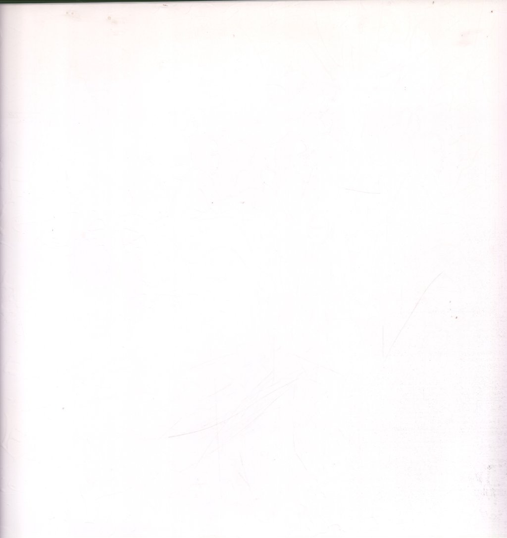 Mac Miller - Macadelic - Double Lp