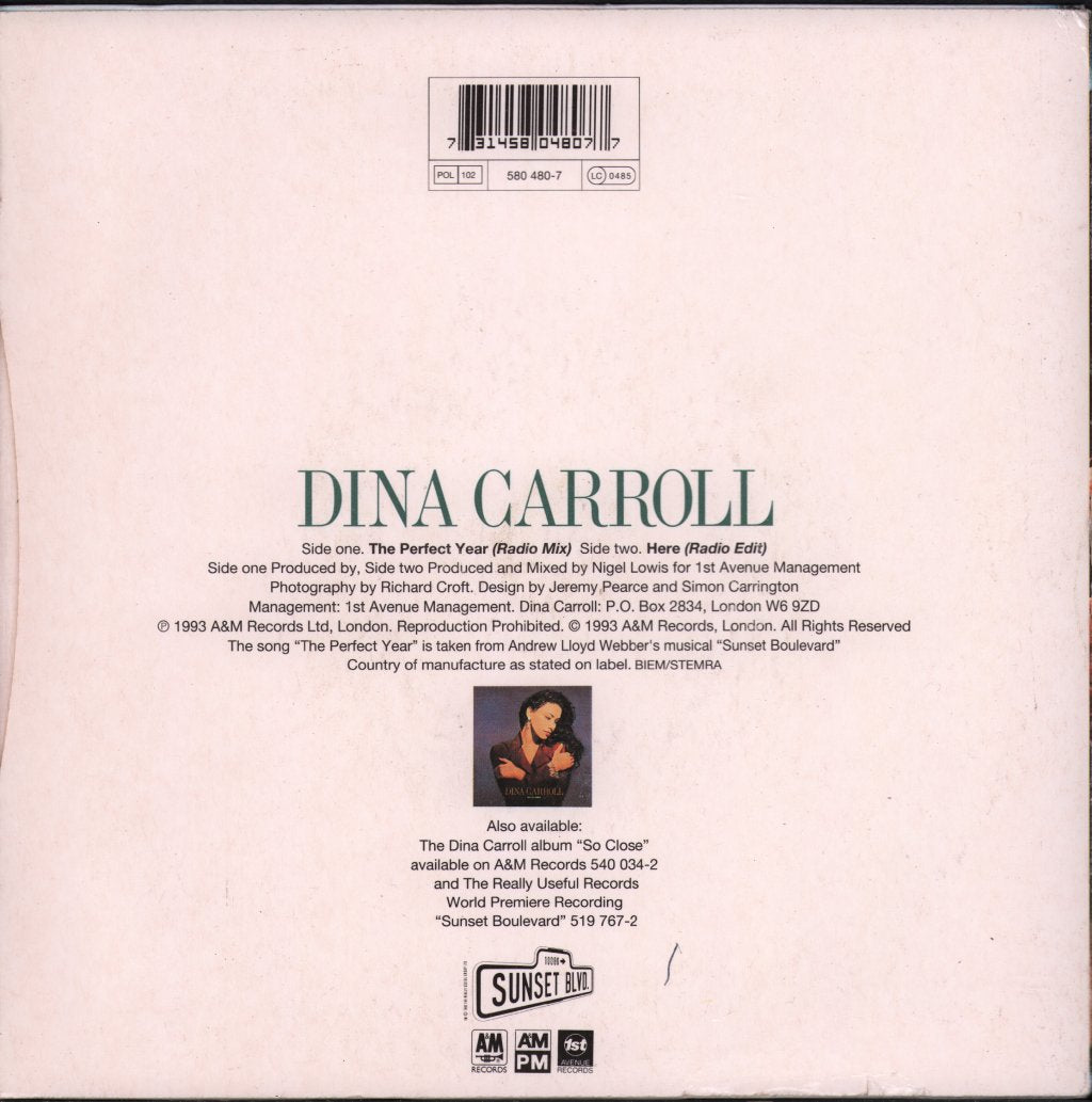 Dina Carroll - Perfect Year - 7 Inch