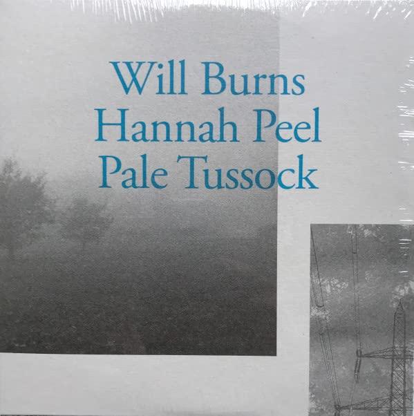 Will Burns And Hannah Peel - Pale Tussock - 7 Inch