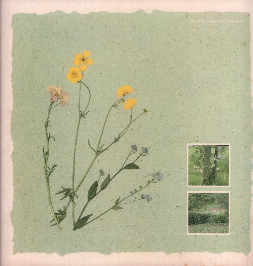 Virginia Astley - From Gardens Where We Feel Secure - Lp