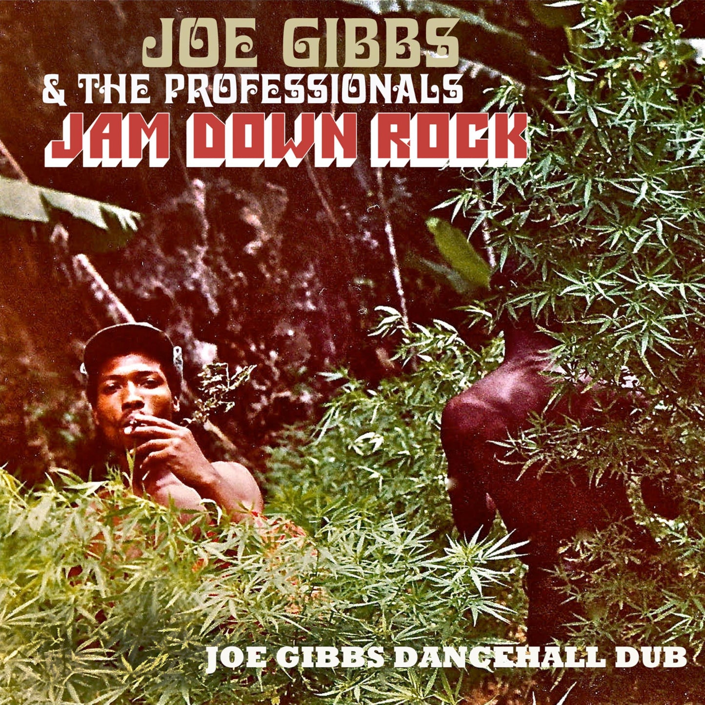 Joe Gibbs And The Professionals - Jam Down Rock - Joe Gibbs Dancehall Dub - Cd