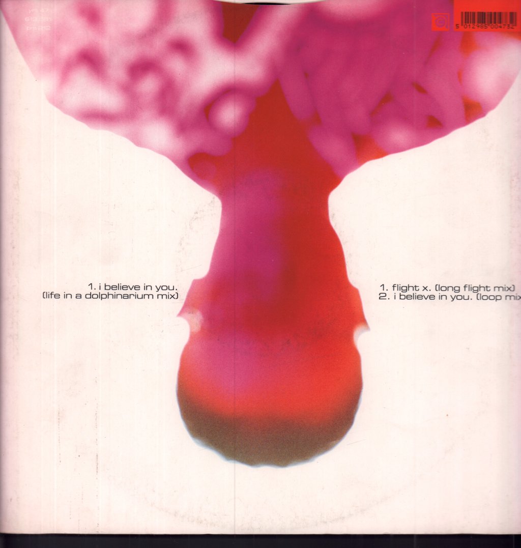 Paul Haig / R.o.l. - I Believe In You - 12 Inch