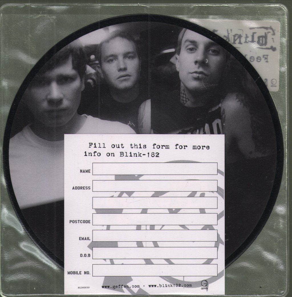 Blink-182 - Feeling This - 7 Inch