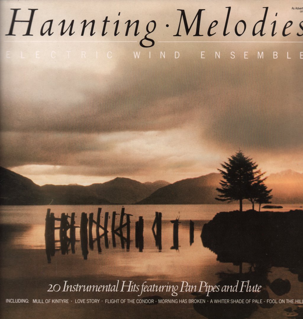 Electric Wind Ensemble - Haunting Melodies - Lp