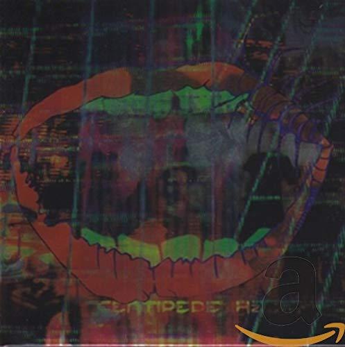 Animal Collective - Centipede Hz - Cd