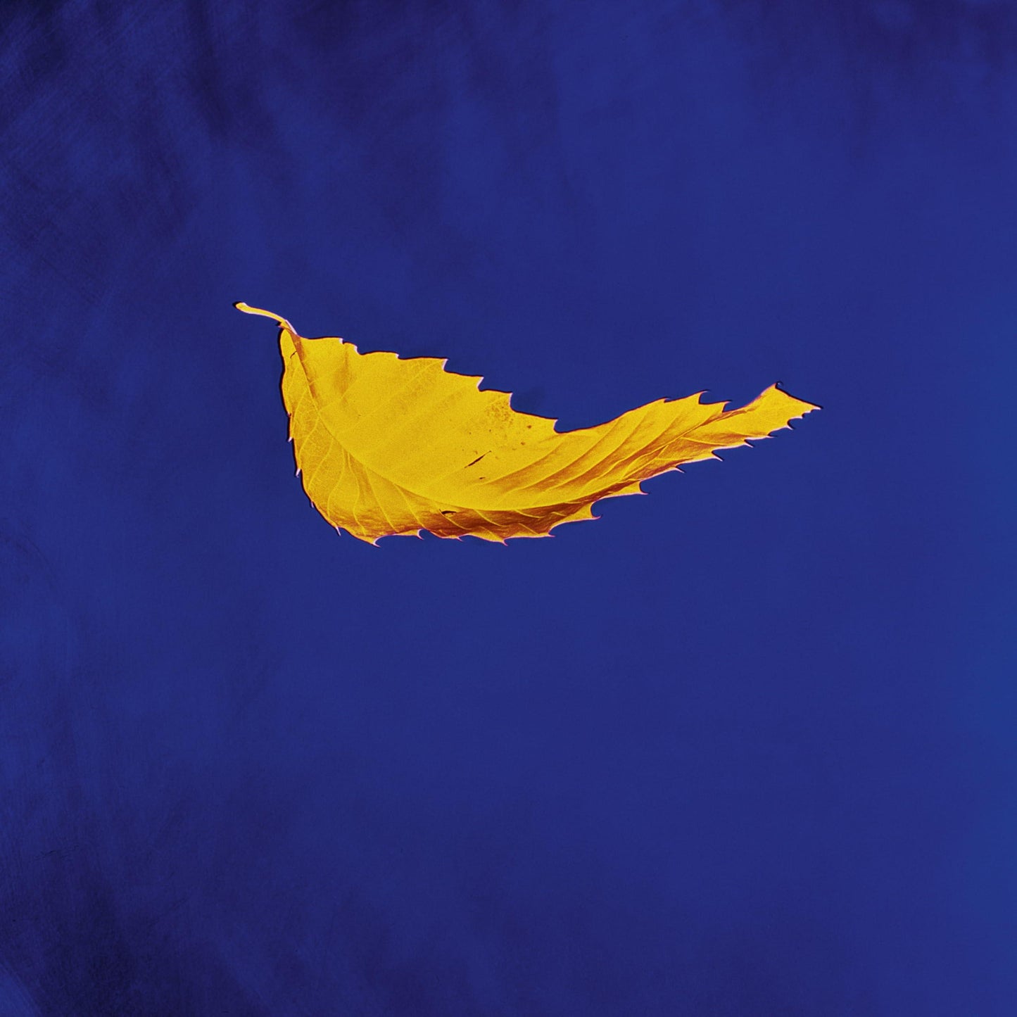 New Order (Uk Manchester Group) - True Faith / 1963 - 12 Inch
