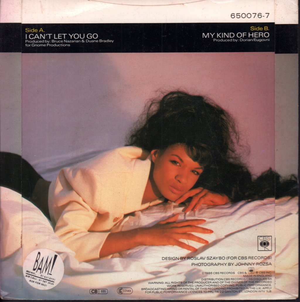Haywoode - I Can't Let You Go - 7 Inch