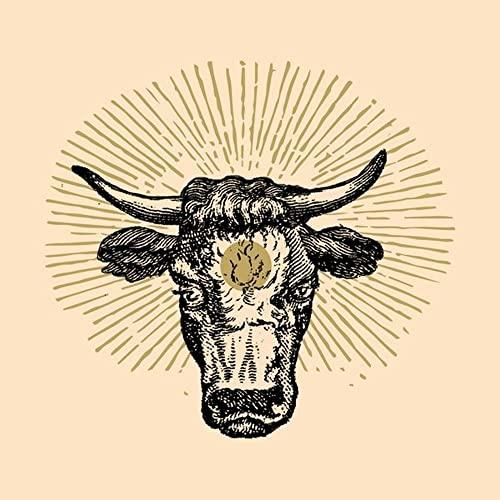 Torozebu - Torozebu - Lp