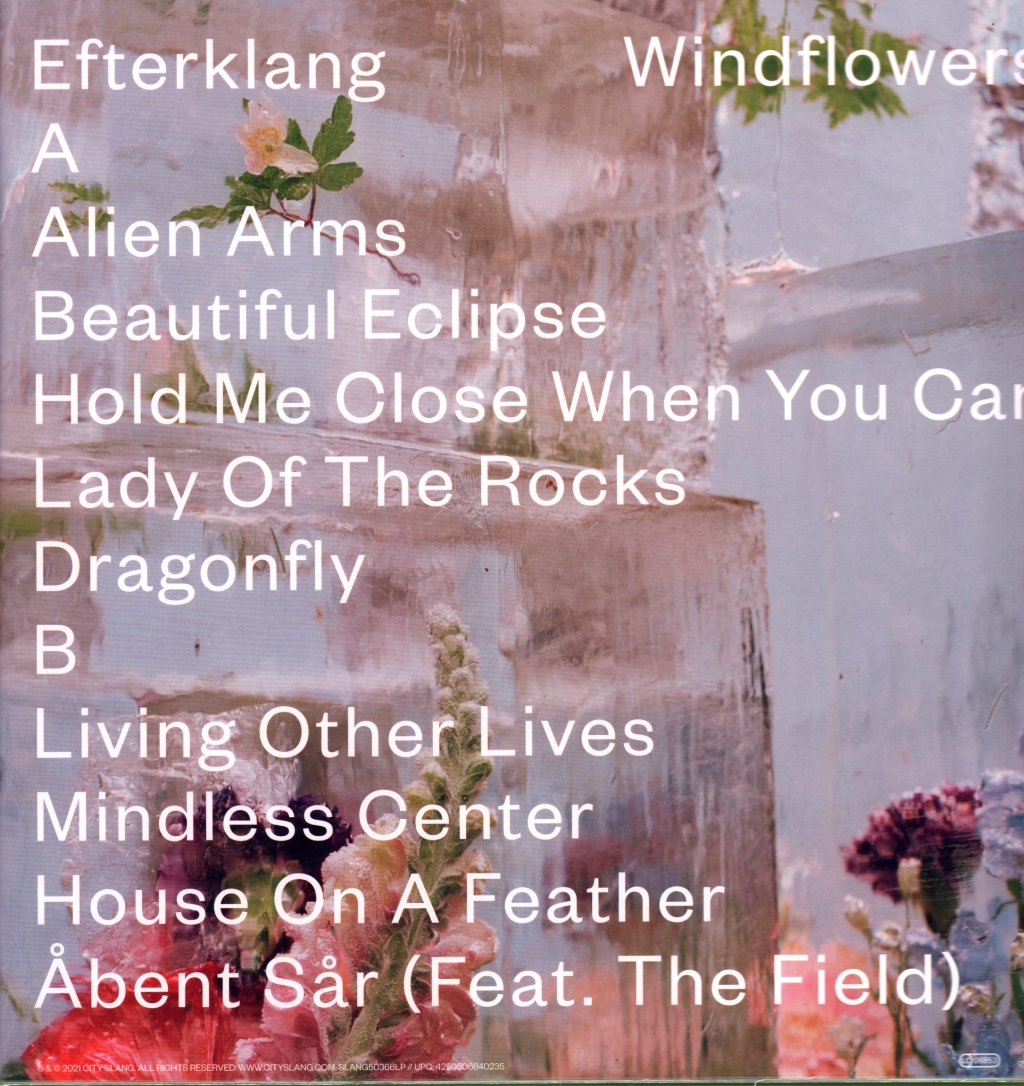 Efterklang - Windflowers - Lp