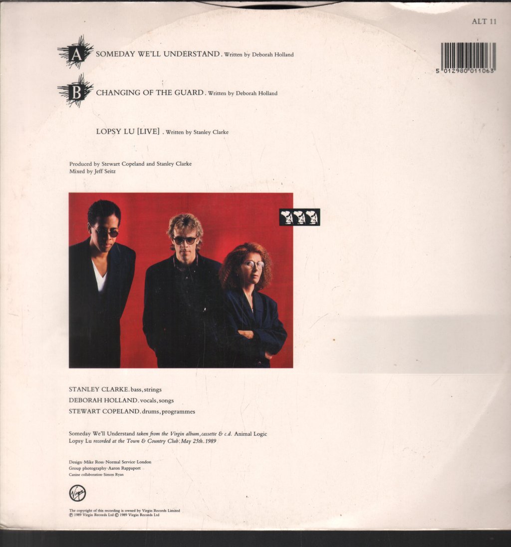Animal Logic - Someday We'll Understand - 12 Inch
