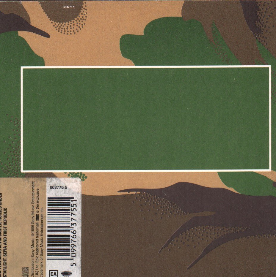 Manic Street Preachers - Kevin Carter - Cd