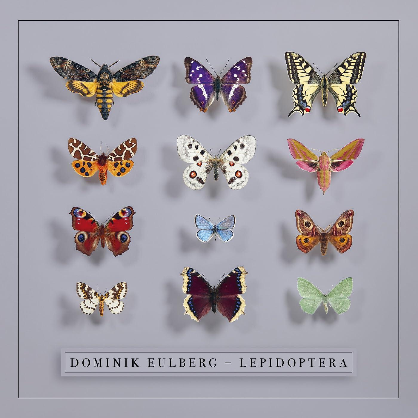 Dominik Eulberg - Lepidoptera - Cd