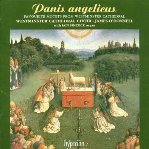 Westminster Cathedral Choir - Panis Angelicus - Cd