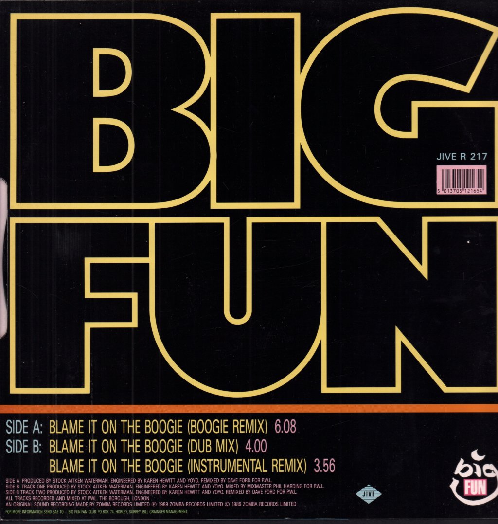 Big Fun - Blame It On The Boogie - 12 Inch