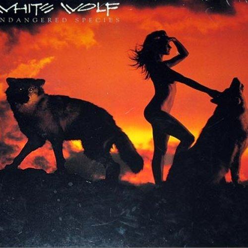 White Wolf - Endangered Species - Cd