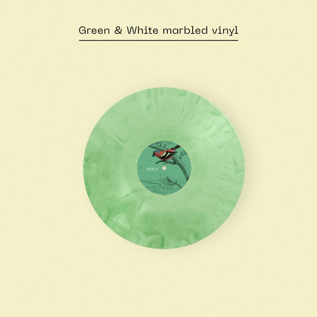 Andrew Wasylyk - Irreparable Parables (Dinked Edition #384) - Lp