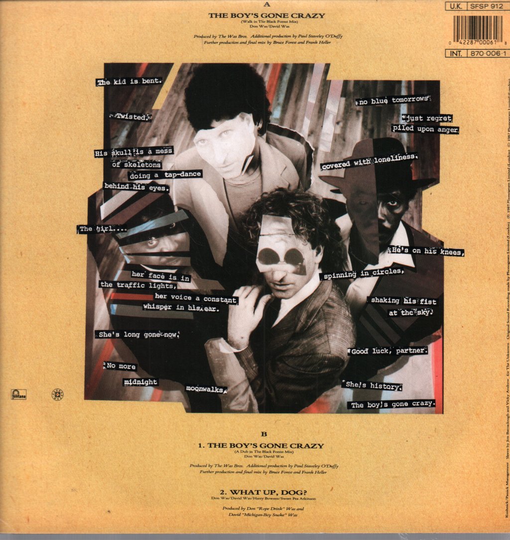 Was Not Was - Boys Gone Crazy - 12 Inch
