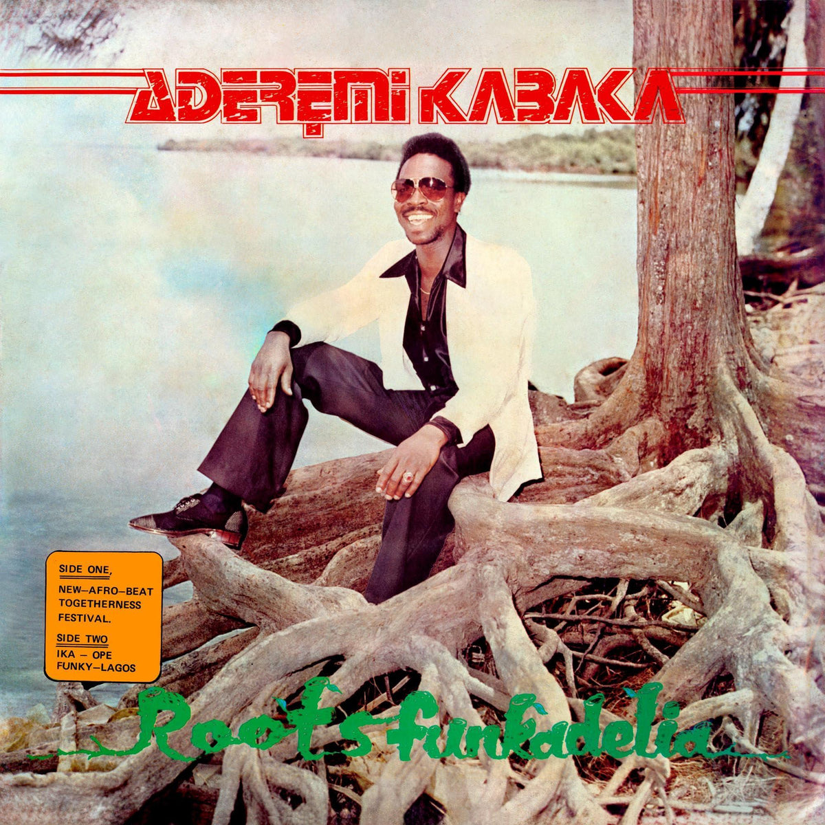 Remi Kabaka - Roots Funkadelia - Lp