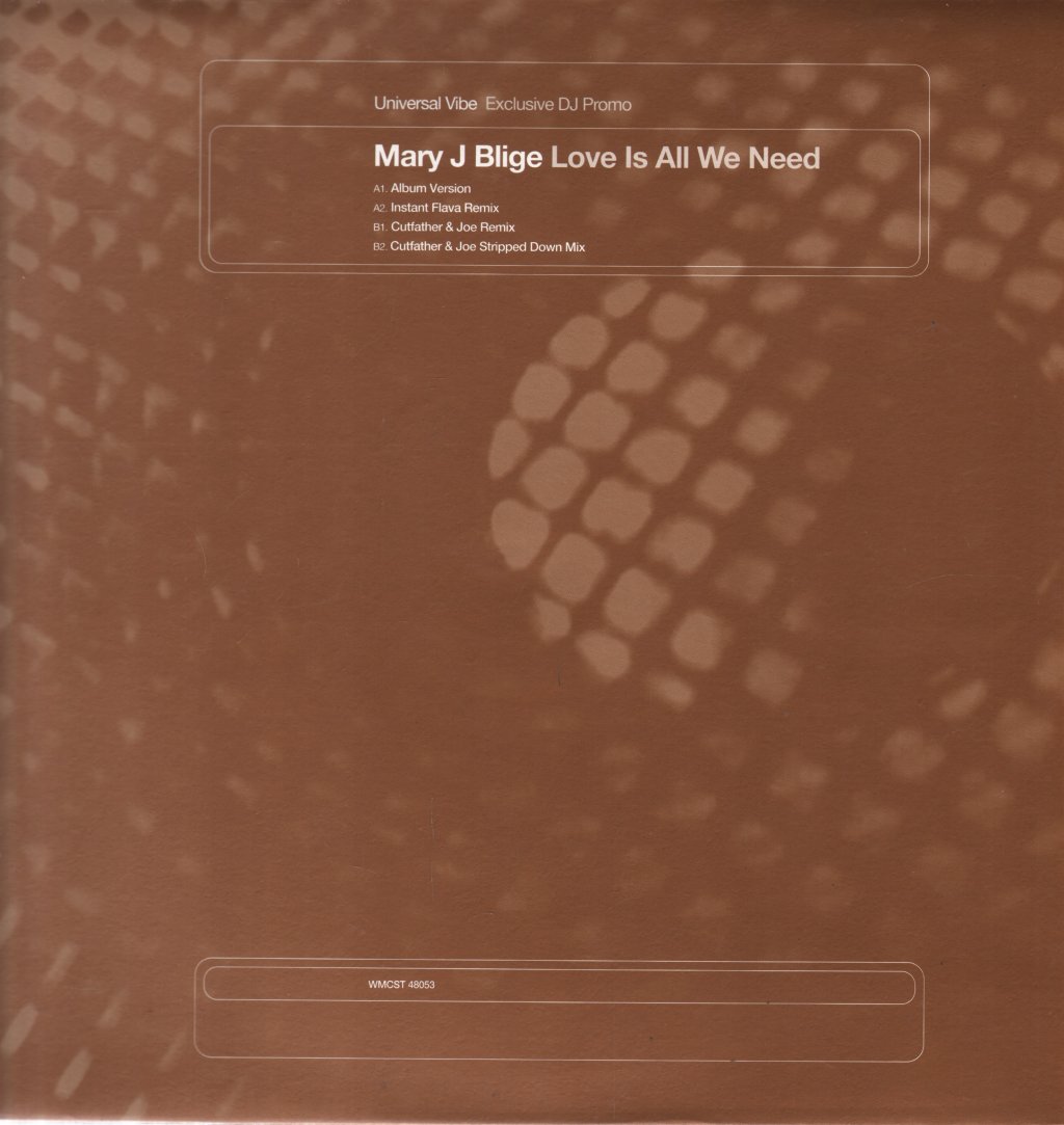 Mary J Blige - Love Is All We Need - 12 Inch