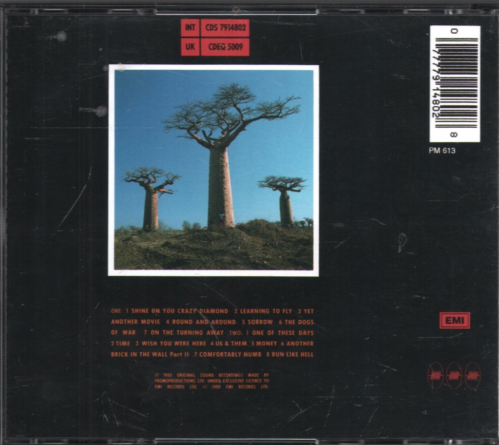 Pink Floyd - Delicate Sound Of Thunder - Cd Set
