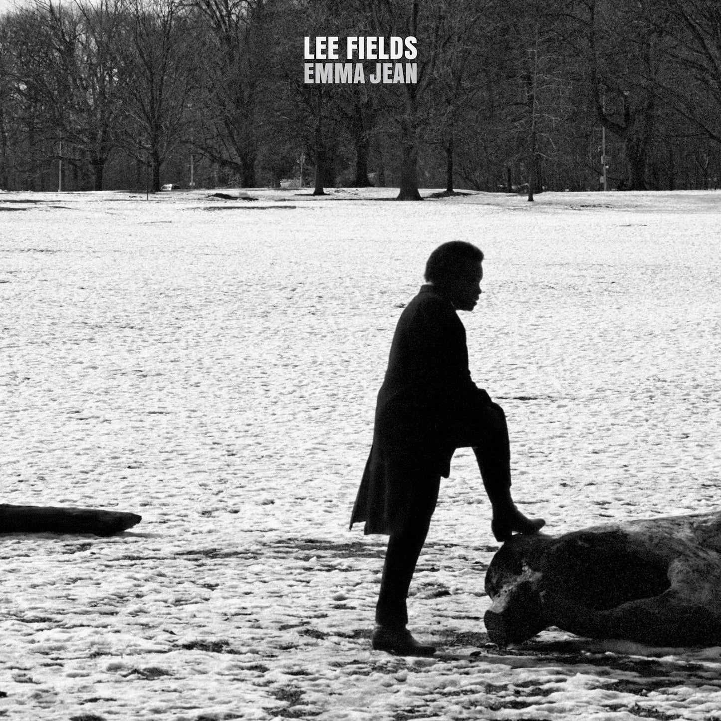 Lee Fields And The Expressions - Emma Jean - Cd