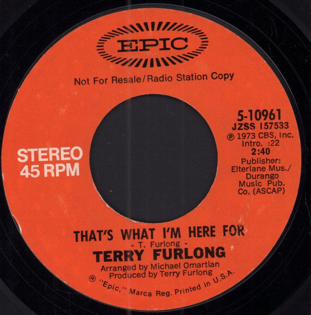 Terry Furlong - That's What I'm Here For - 7 Inch