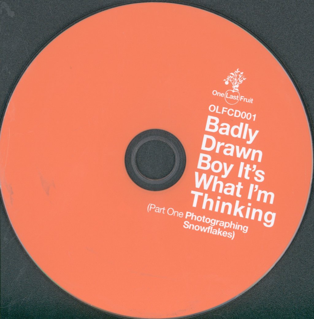 Badly Drawn Boy - It's What I'm Thinking (Part One - Photographing Snowflakes) - Cd