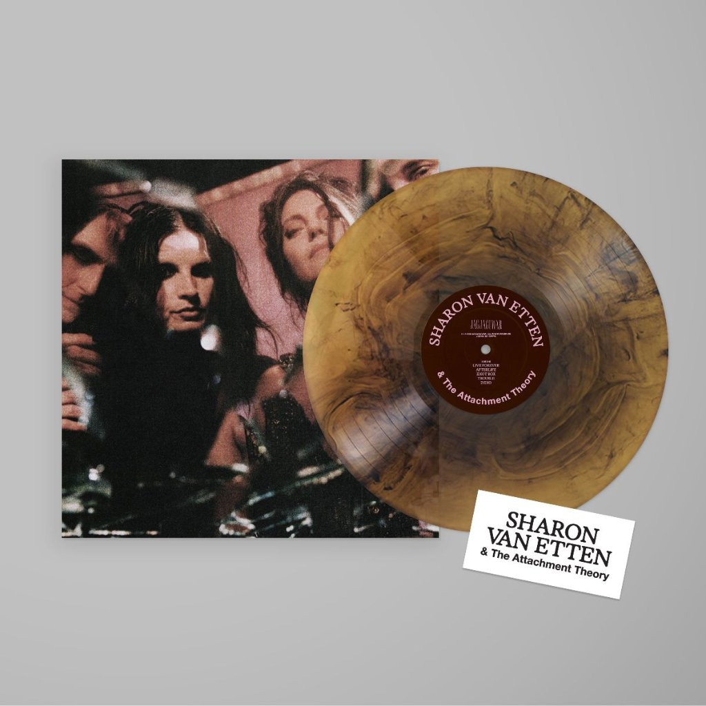 Sharon Van Etten & The Attachment Theory - Sharon Van Etten & The Attachment Theory - Lp