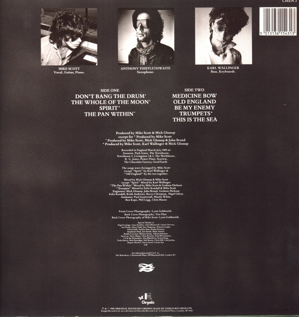 Waterboys - This Is The Sea - Lp