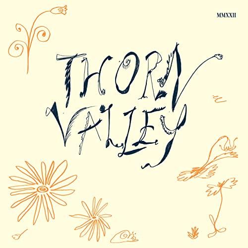 Various Artists - Thorn Valley - Double Lp