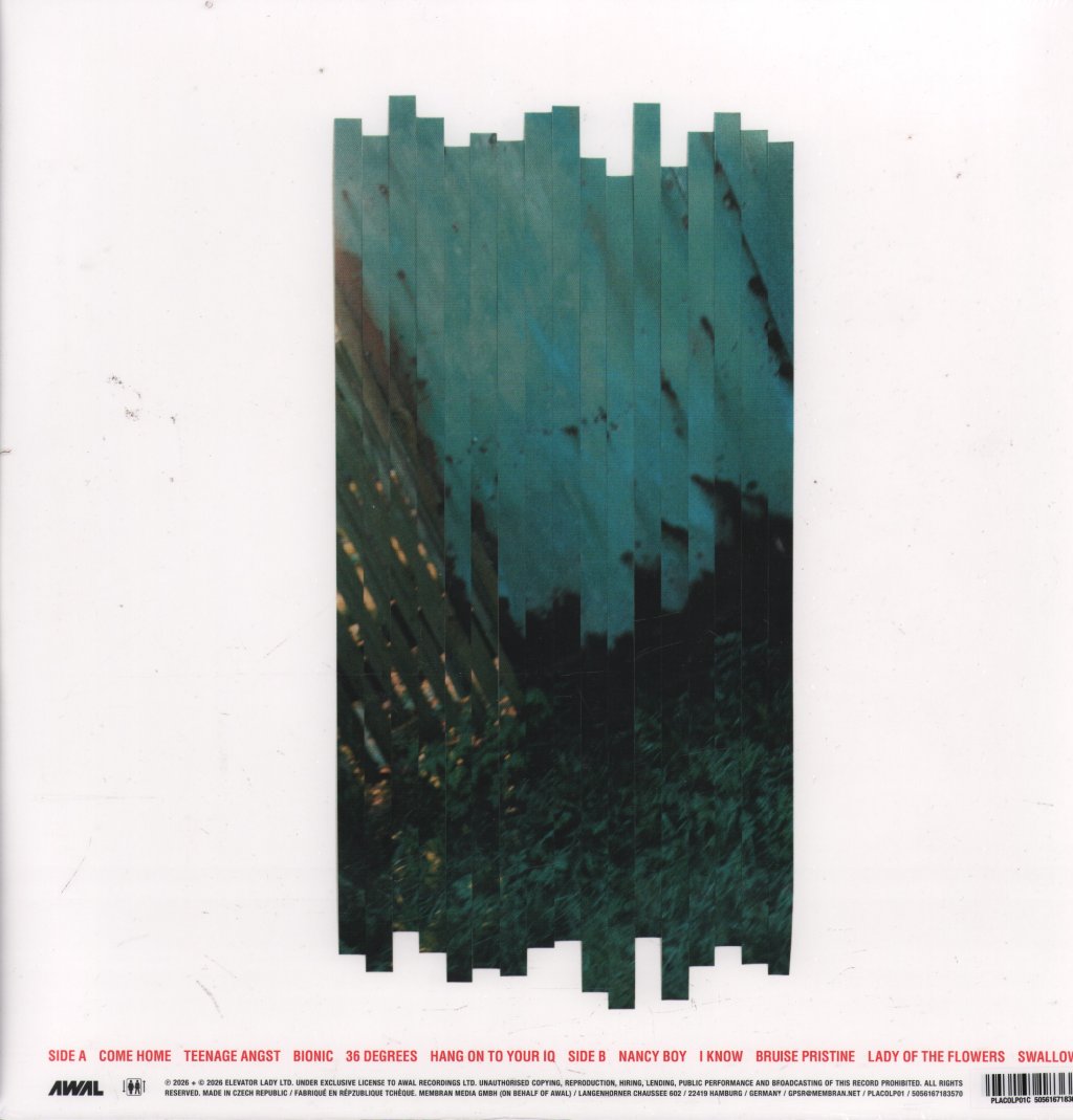 Placebo - RE:CREATED - Lp