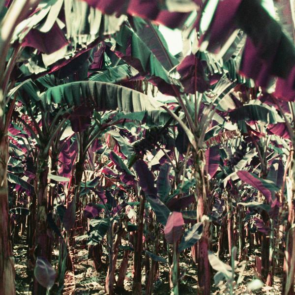 Dampe - Peach Shuffle EP - 12 Inch