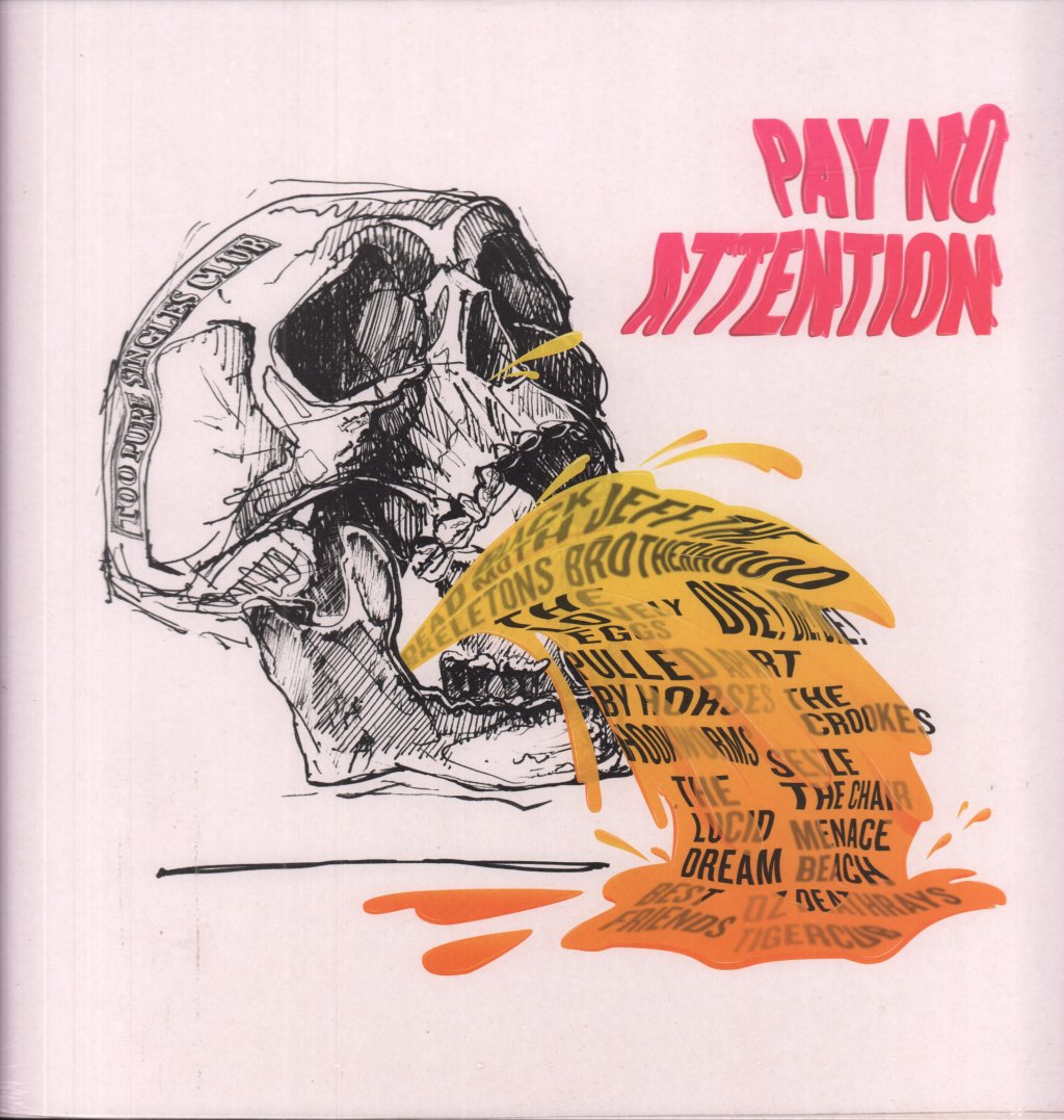 Various Artists - Pay No Attention - Lp