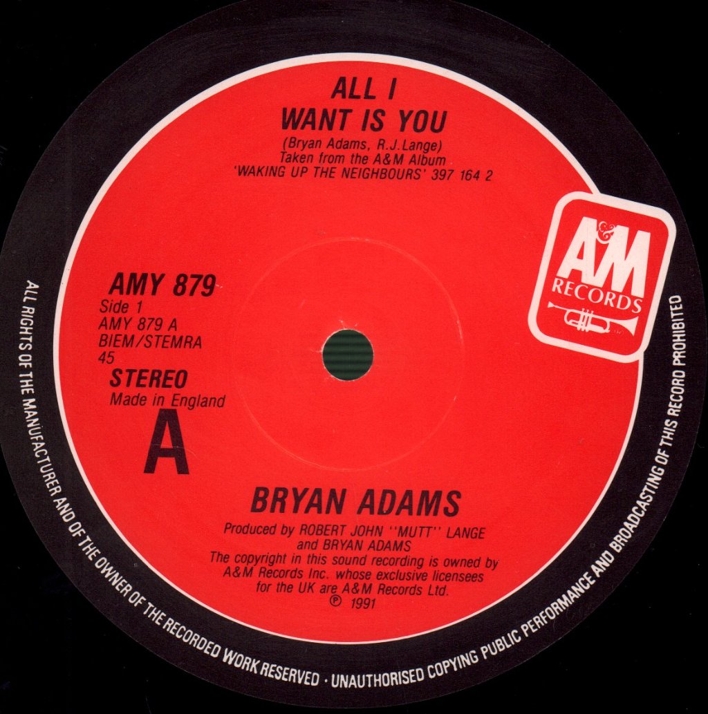 Bryan Adams - All I Want Is You - 12 Inch