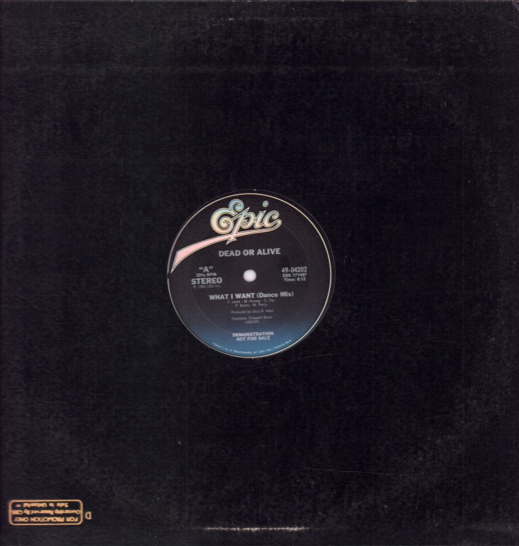 Dead Or Alive - What I Want - 12 Inch