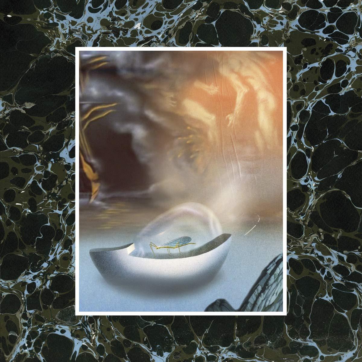 Wand - Laughing Matter - Cassette