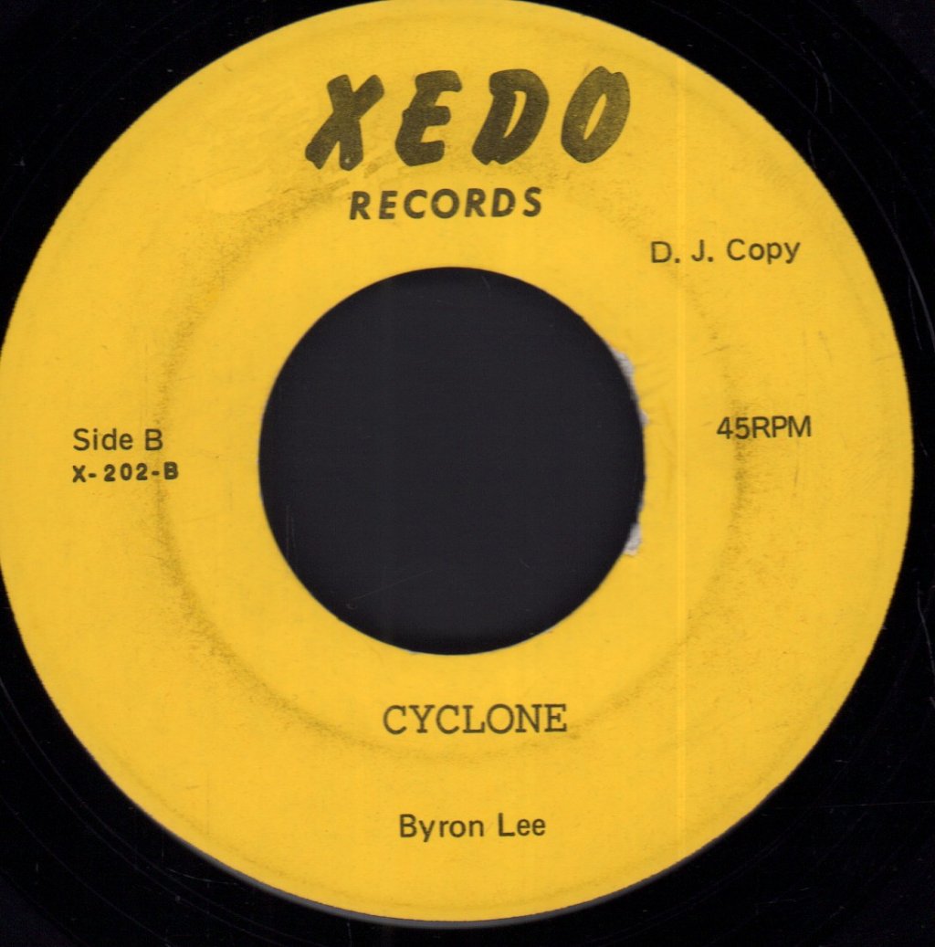 Byron Lee - I Won't Let You Go - 7 Inch