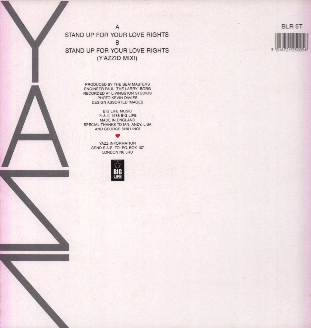 Yazz - Stand Up For Your Love Rights - 12 Inch