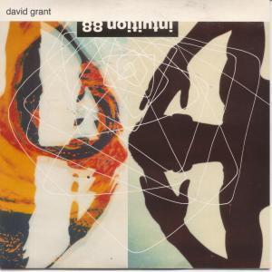David Grant - Intuition 88 - 7 Inch