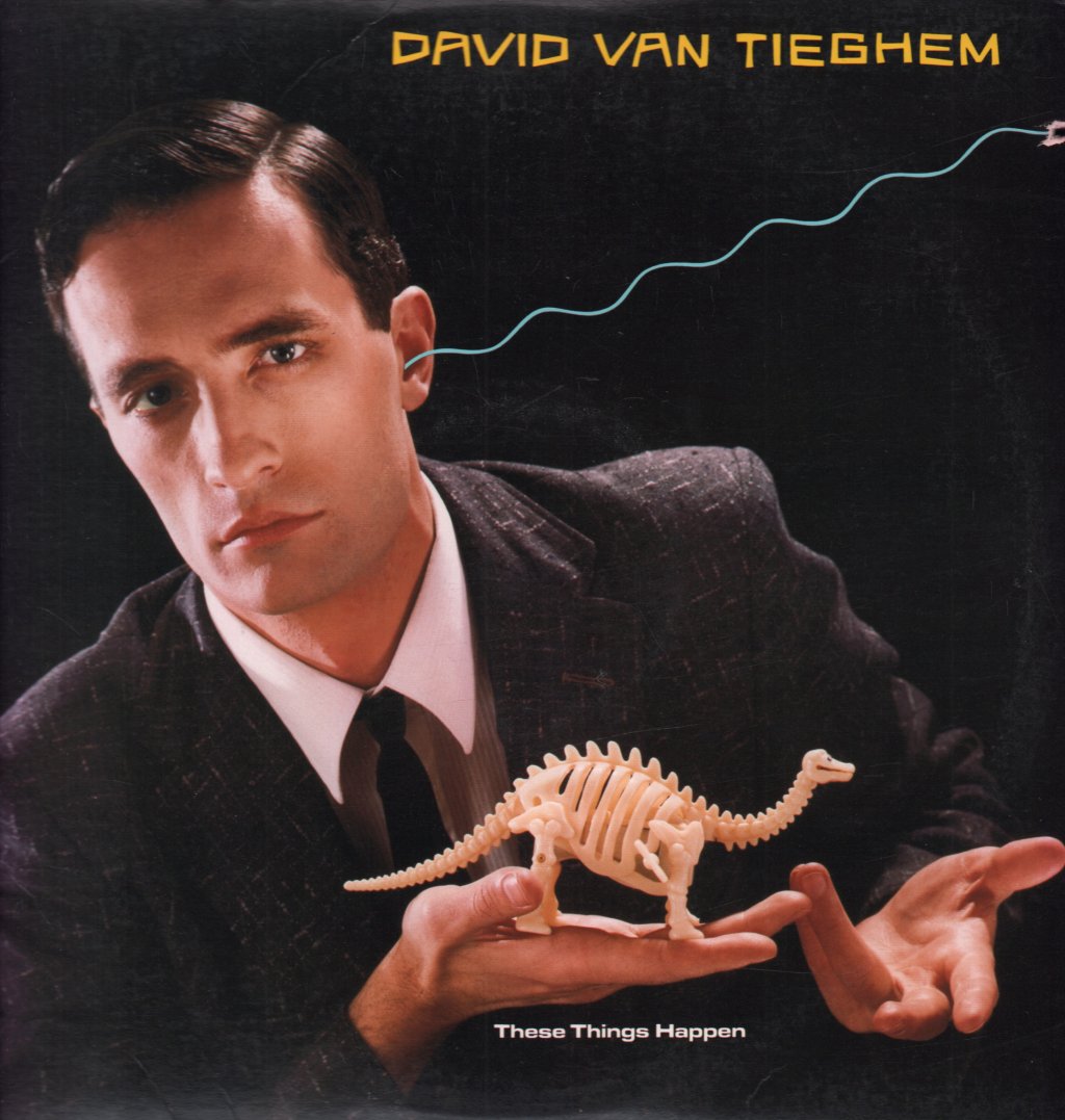 David Van Tieghem - These Things Happen - Lp