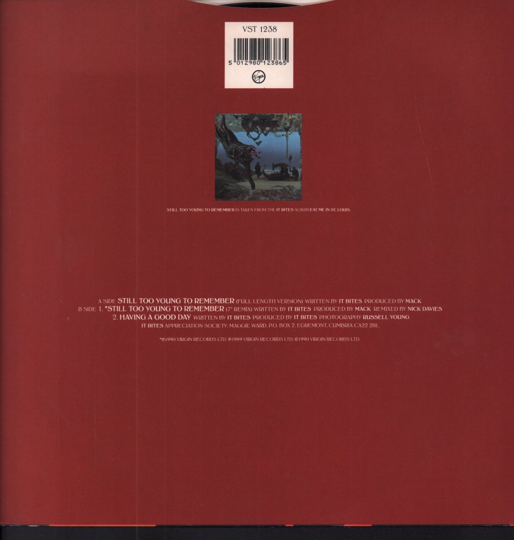 It Bites - Still Too Young To Remember - 12 Inch