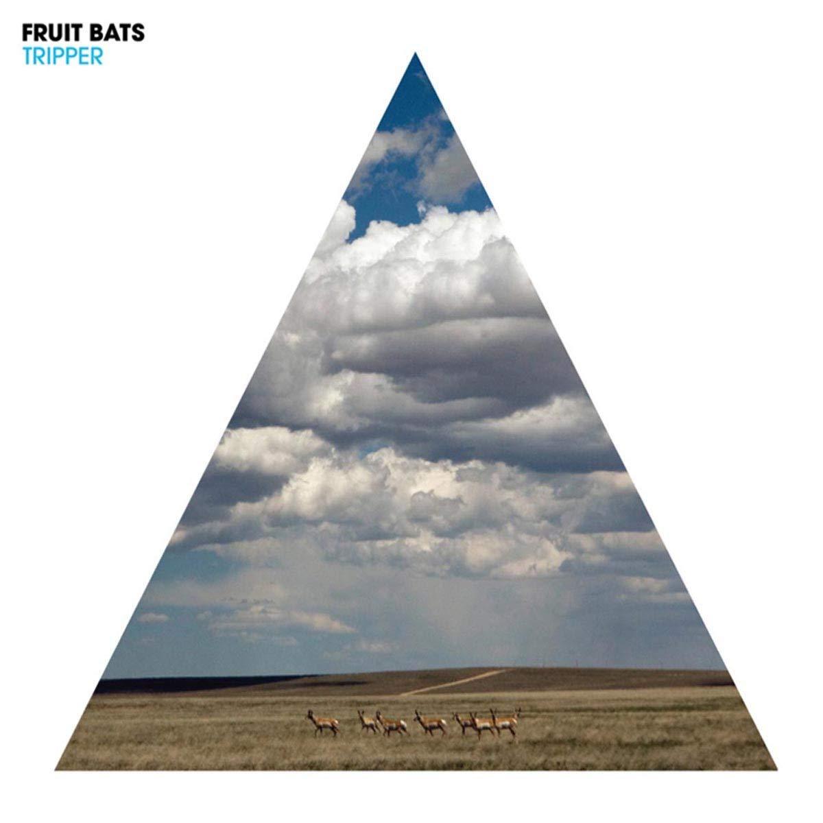 Fruit Bats - Tripper - Lp