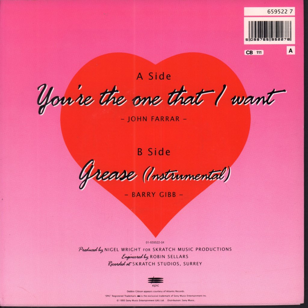 Craig Mclachlan And Debbie Gibson - You're The One That I Want - 7 Inch