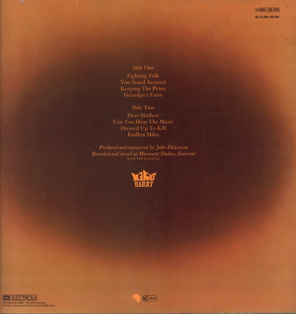 King Harry - Divided We Stand - Lp