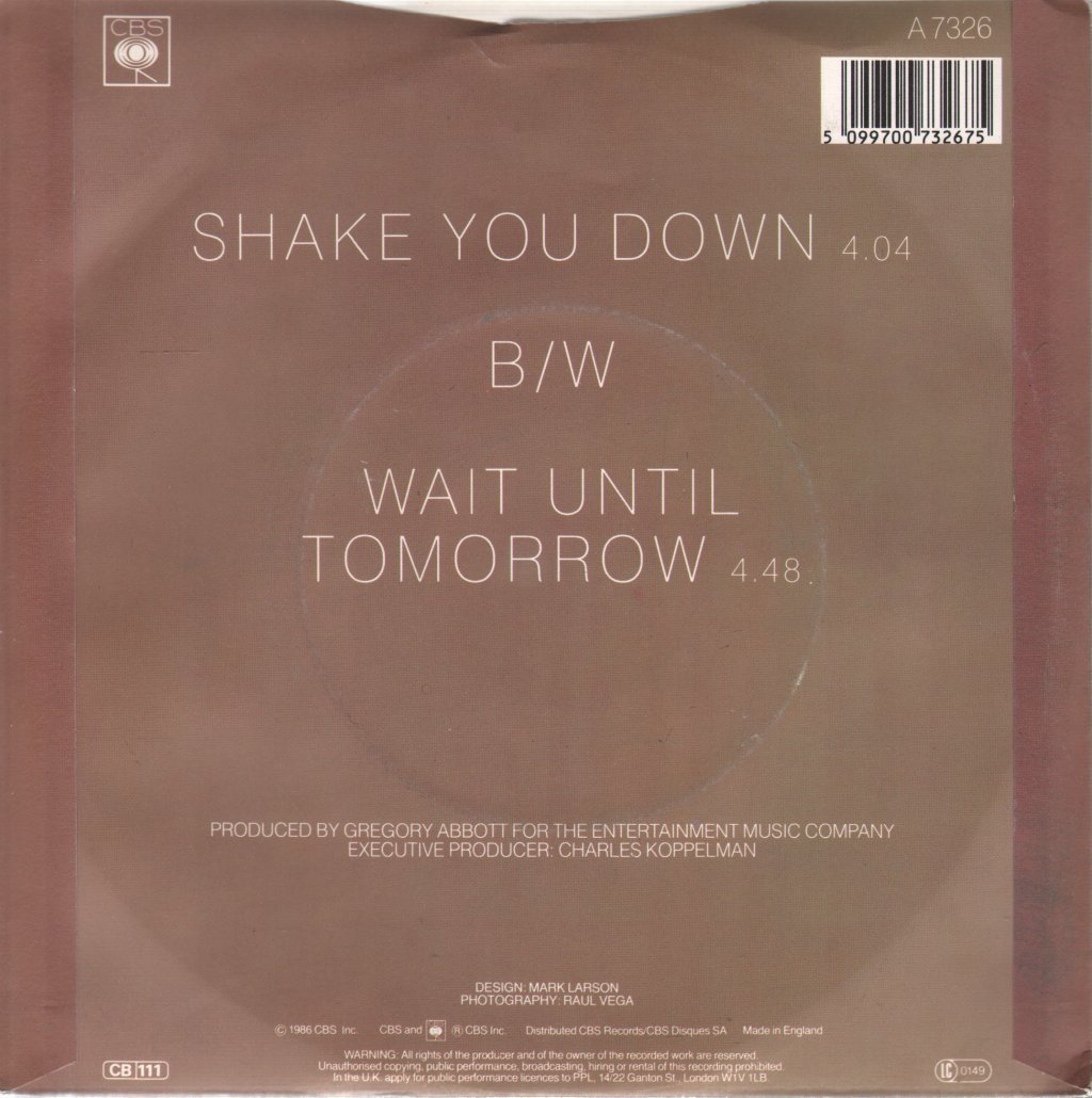Gregory Abbott - Shake You Down - 7 Inch