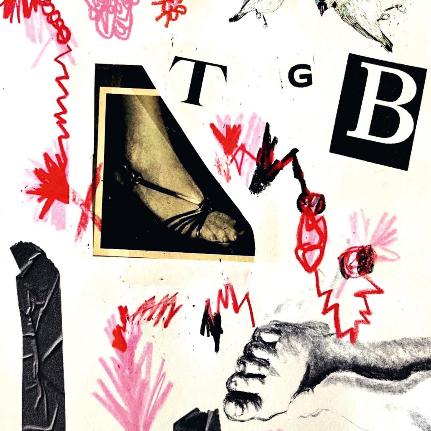 Teri Gender Bender - Tgb - Lp