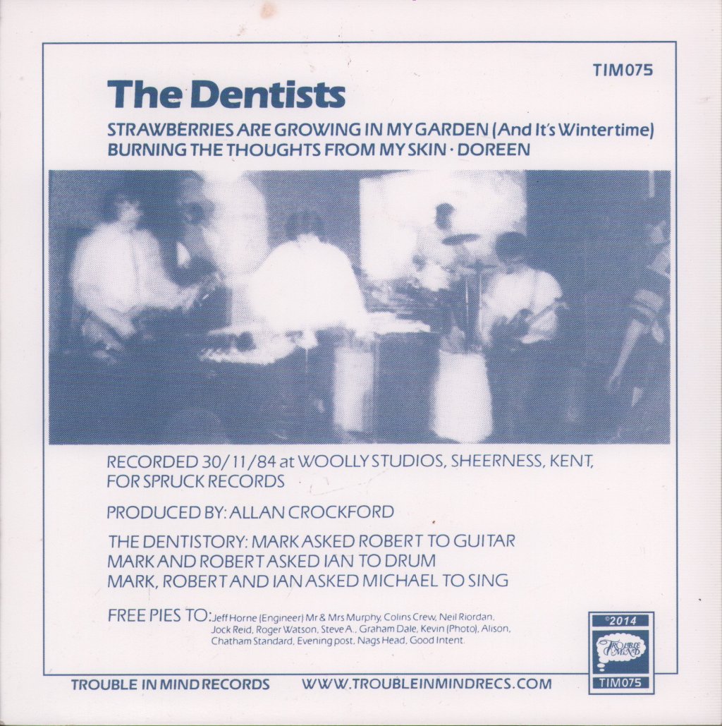 Dentists - Strawberries Are Growing In My Garden - 7 Inch