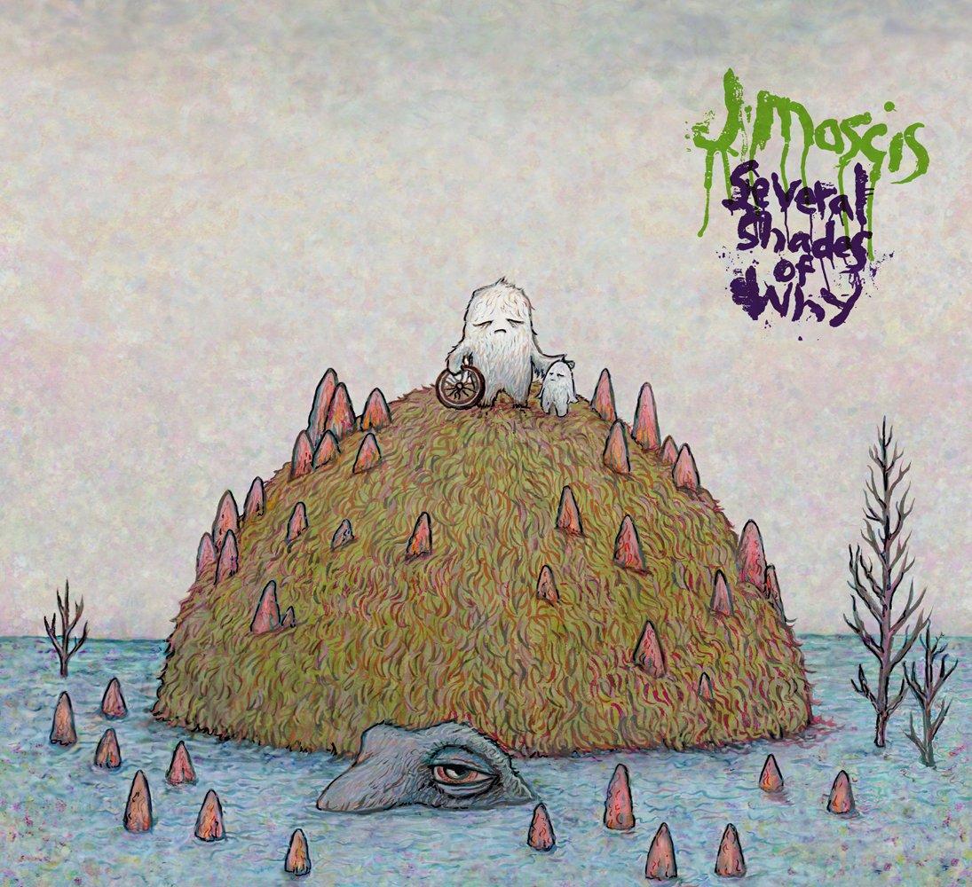 J Mascis - Several Shades of Why - Cd