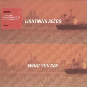 Lightning Seeds - What You Say - Cd